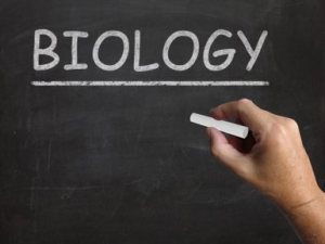 biology-blackboard