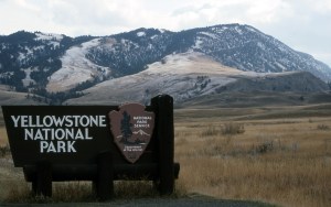 Yellowstone National Park sign at the North Entrance; Jim Peaco; October 1992
